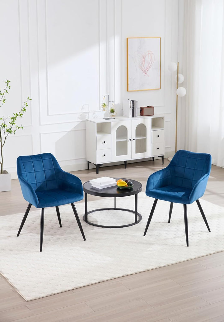 WOLTU Esszimmerstühle 2er Set Esszimmerstuhl Küchenstuhl Polsterstuhl Design Stuhl mit Armlehnen, mi