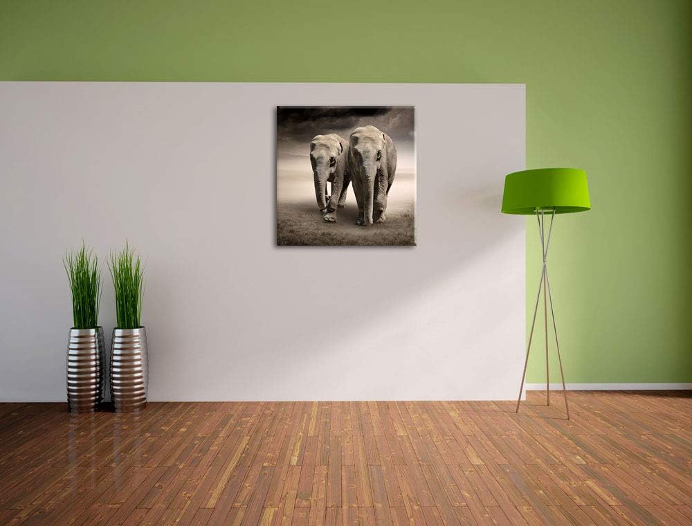 Pixxprint Zwei stolze Elefanten in Steppe als Leinwandbild/Grösse: 70x70 / Wandbild/Kunstdruck/ferti