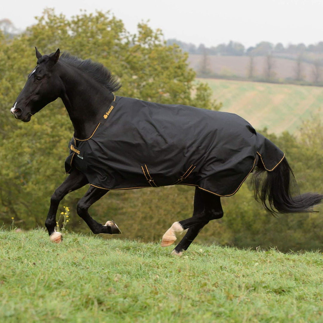 Bucas Irish Turnout Medium 150g Classic - black/gold, Groesse:165, 165
