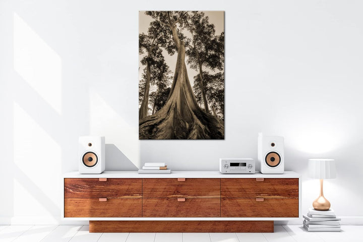 deyoli märchenhafter Baum Format: 100x70 cm Effekt: Sepia als Leinwandbild, Motiv fertig gerahmt auf