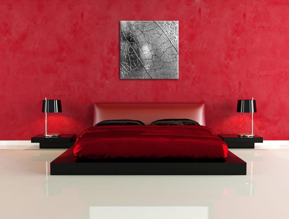 Rote Physalis Schwarz/Weiss, Format: 70x70 auf Leinwand, XXL riesige Bilder fertig gerahmt mit Keilr