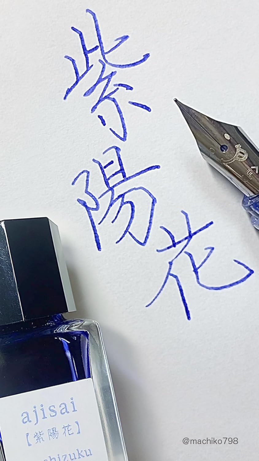 Pilot Iroshizuku Tinte für Füllfederhalter Talla única blau, blau
