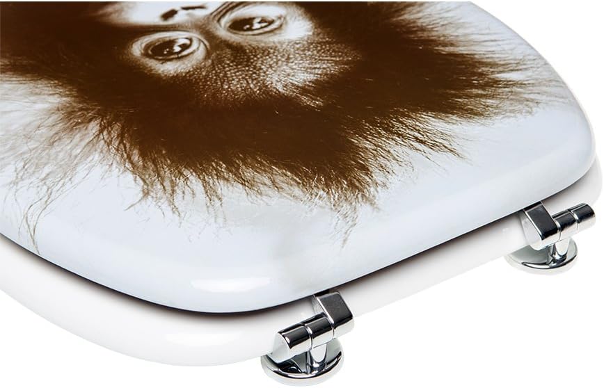 Sanilo WC Sitz ohne Absenkautomatik, viele neue Toilettendeckel zur Auswahl, hochwertige Oberfläche,