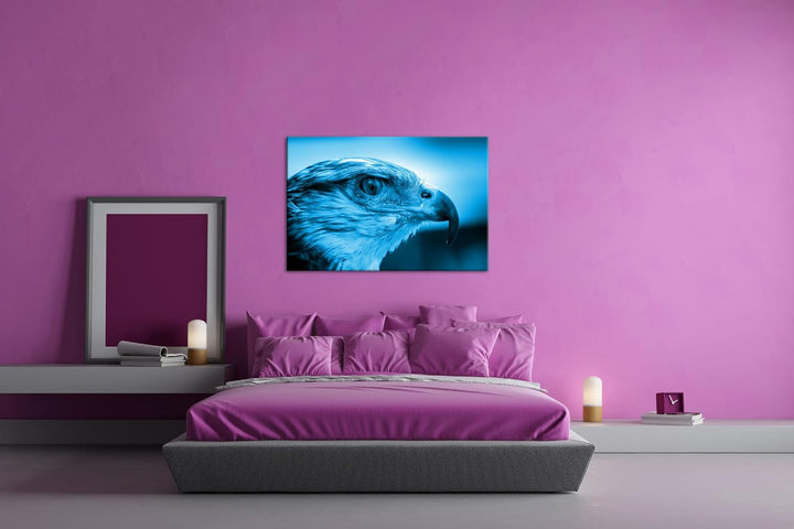 deyoli Kopf eines Falken Format 80x60 Effekt: Monocrome Blau als Leinwandbild, Motiv fertig gerahmt