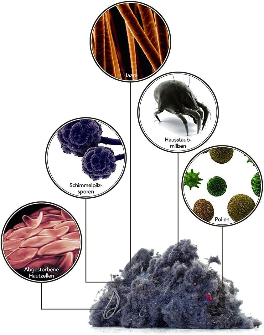 AEG AKIT360+ Erweiterungsset für CX7 Akkustaubsauger (Zubehör, Staubsaugerdüse, Detailreinigung, Zuh