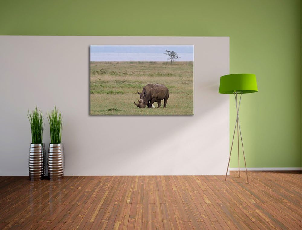 grosses Nashorn beim Fressen Leinwand, XXL riesige Bilder fertig gerahmt mit Keilrahmen, Kunstdruck