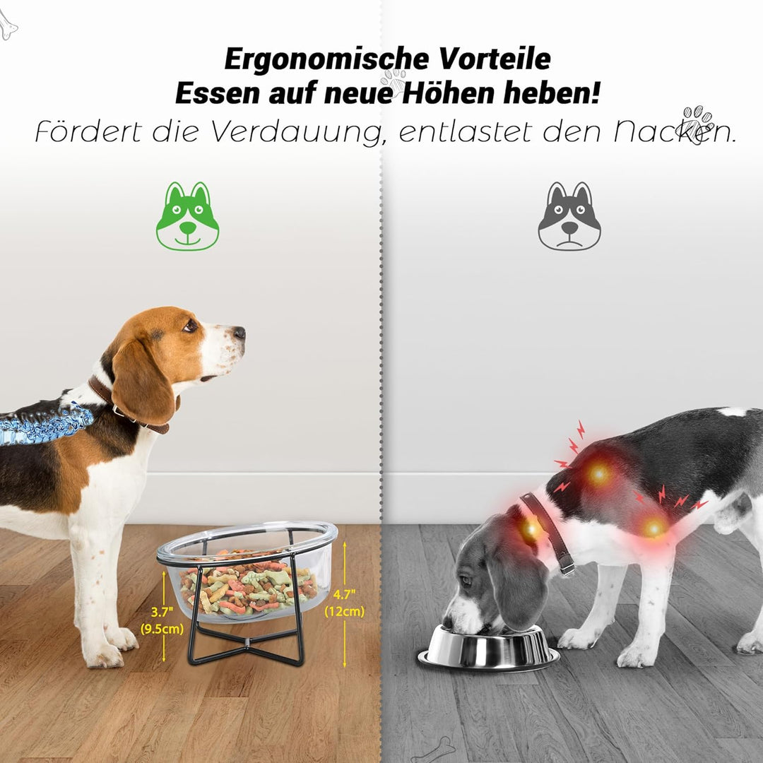 Hundenapf Katzennapf - Futternapf Hund Katze - Futterstation Hund Katzen Erhöht mit Ständer - Fressn