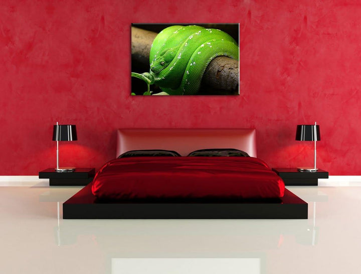 Grüne exotische Schlange, Format: 100x70 auf Leinwand, XXL riesige Bilder fertig gerahmt mit Keilrah