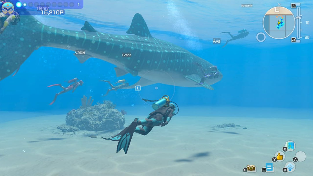 Endless Ocean Luminous Nintendo Switch Standard, Nintendo Switch Standard