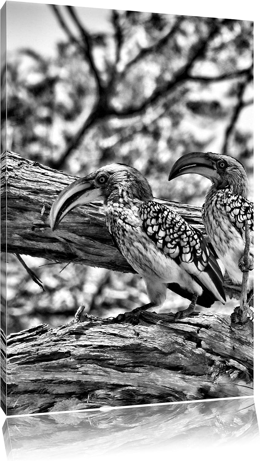 Pixxprint Zwei exotische Vögel auf Baum / 100x70cm Leinwandbild bespannt auf Holzrahmen/Wandbild Kun