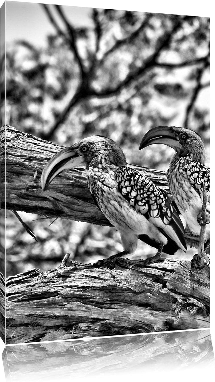 Pixxprint Zwei exotische Vögel auf Baum / 100x70cm Leinwandbild bespannt auf Holzrahmen/Wandbild Kun