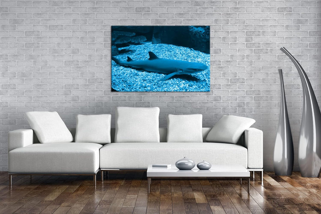 deyoli Weissspitzen Hai Format 80x60 Effekt: Monocrome Blau als Leinwandbild, Motiv fertig gerahmt a