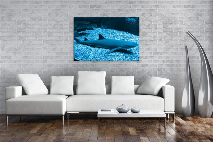 deyoli Weissspitzen Hai Format 80x60 Effekt: Monocrome Blau als Leinwandbild, Motiv fertig gerahmt a