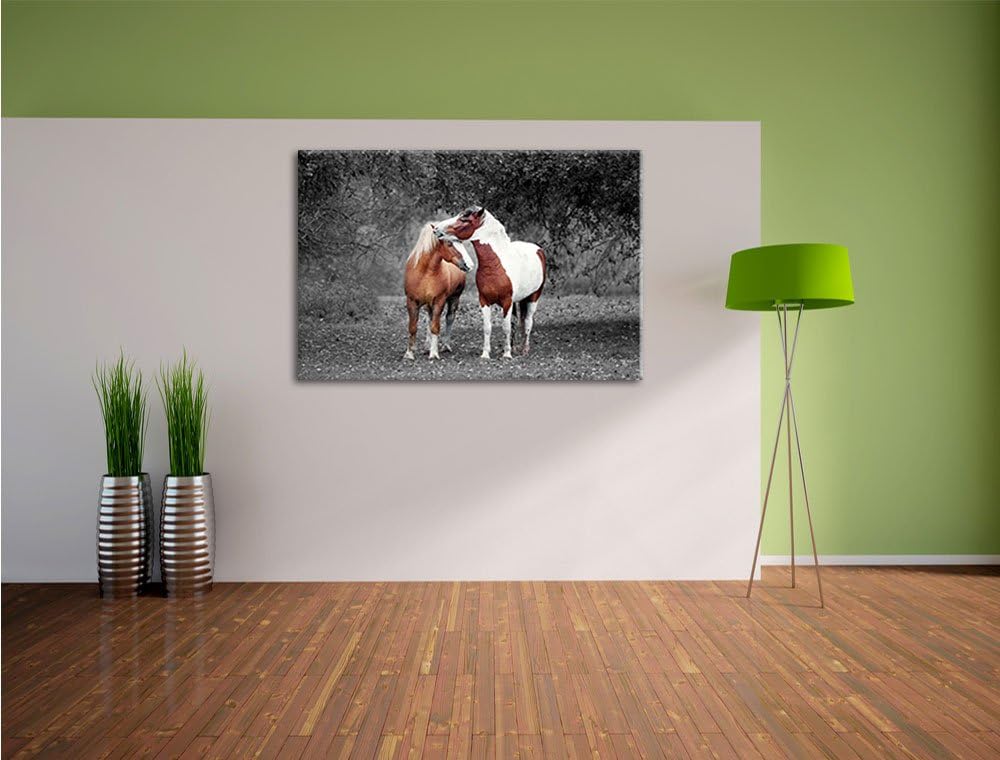 Pixxprint Zwei schmusende Pferde als Leinwandbild/Grösse: 100x70 cm/Wandbild/Kunstdruck/fertig bespa