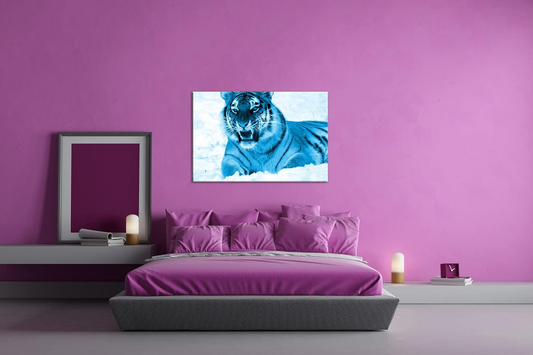deyoli knurrender Tiger im Schnee Format 80x60 Effekt: Monocrome Blau als Leinwandbild, Motiv fertig