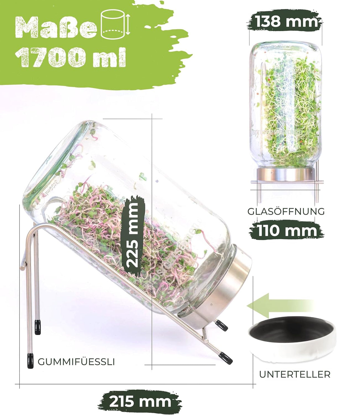 biosprosser Sprossenglas Set mit Starterpaket - Fitness-Mix 250g & Power-Mix 250g - Keimglas für Spr