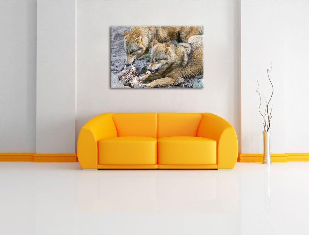 Pixxprint Wölfe beim Fressen auf Leinwand, XXL riesige Bilder fertig gerahmt mit Keilrahmen, Kunstdr