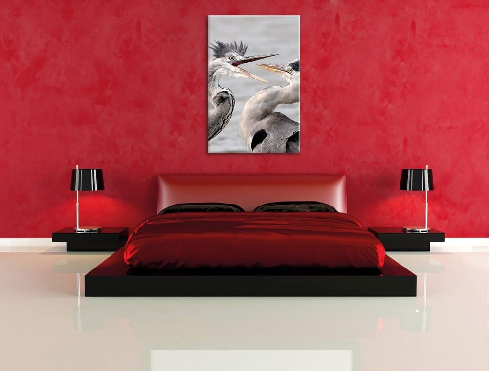 Pixxprint Zankende Vögel, Format: 100x70 auf Leinwand, XXL riesige Bilder fertig gerahmt mit Keilrah