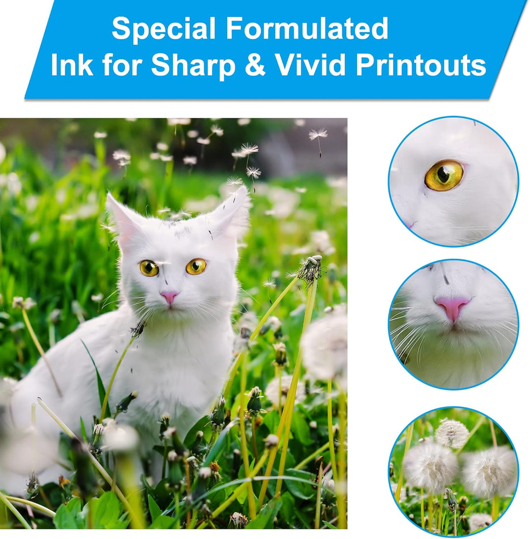 LCL 105 106 Tinte kompatibel für EcoTank 105 106 Tintenflasche Multipack für Epson EcoTank L7160 L71