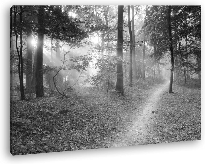 deyoli ruhiger Waldweg Effekt: Schwarz/Weiss Format: 80x60 als Leinwand, Motiv fertig gerahmt auf Ec