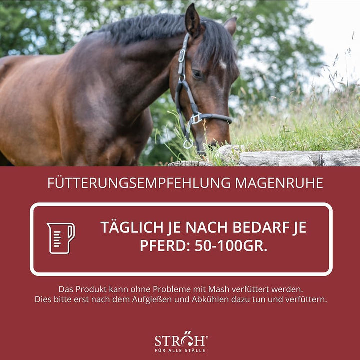 STRÖH Magenruhe Pferd (12kg Feedbox) Magenruhe Pferd (1kg) • Für Pferde Magen, Darm & Verdauung • Mi