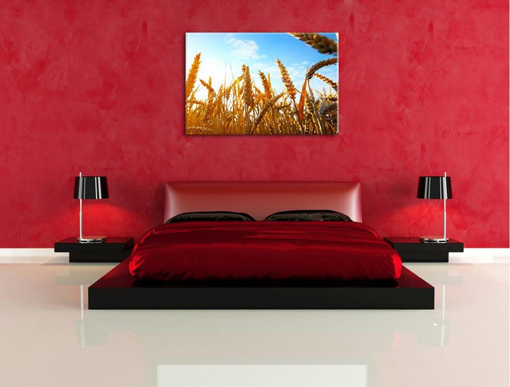 Getreide im Sonnenschein Format: 100x70 auf Leinwand, XXL riesige Bilder fertig gerahmt mit Keilrahm