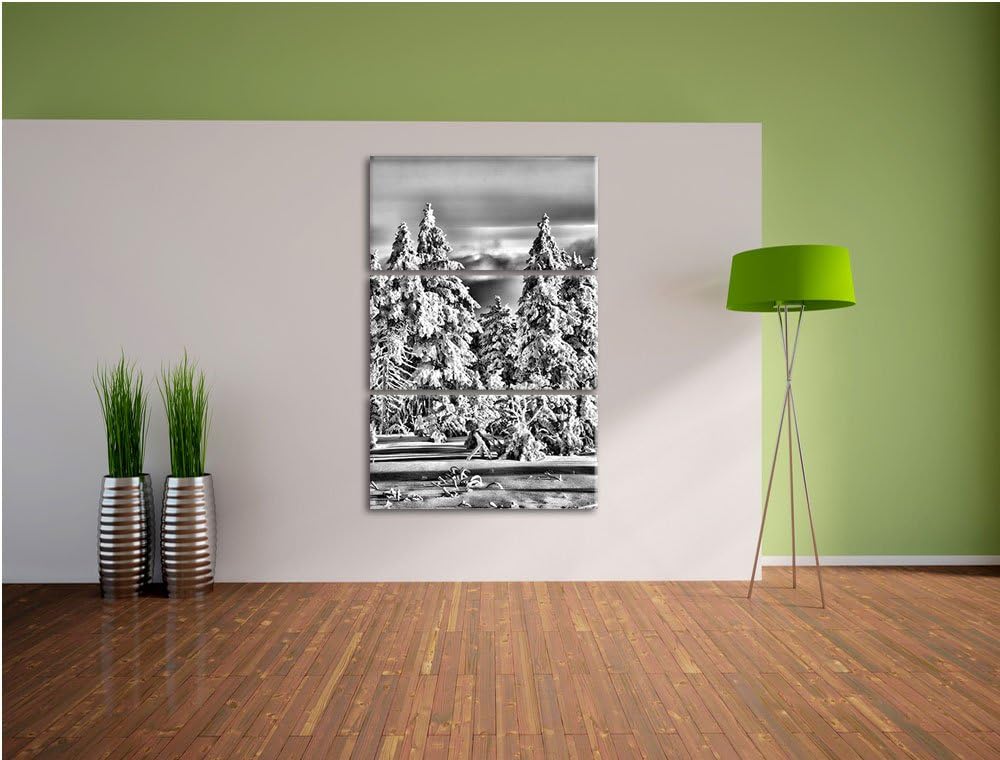 Pixxprint Winterwald als Leinwandbild/Grösse: 3 Teilig (120x80) cm/Wandbild/Kunstdruck/fertig bespan