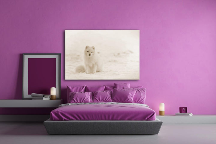 deyoli süsser Schneefuchs Format: 80x60 Effekt: Sepia als Leinwand, Motiv fertig gerahmt auf Echthol