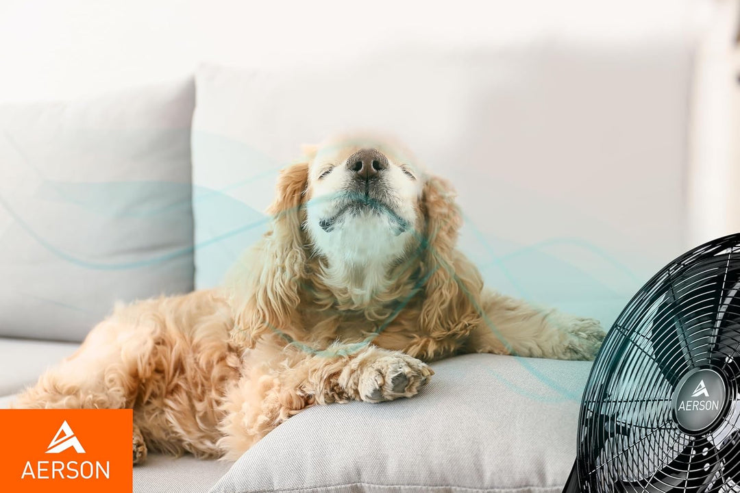 TRESKO AERSON Bodenventilator 30cm | Windmaschine mit 3-Leistungsstufen 55W | Standventilator Ventil