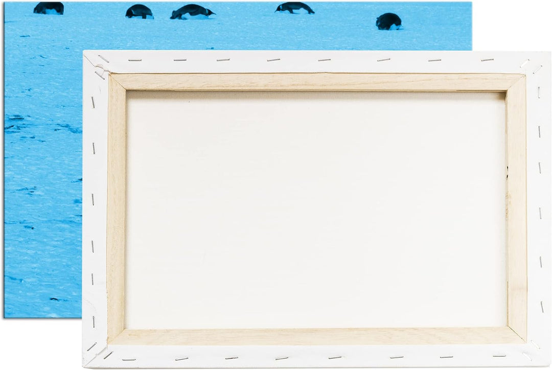 deyoli süsse Kaiserpinguine in der Antarktis Format 60x40 Effekt: Monocrome Blau als Leinwandbild, M