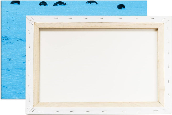 deyoli süsse Kaiserpinguine in der Antarktis Format 60x40 Effekt: Monocrome Blau als Leinwandbild, M