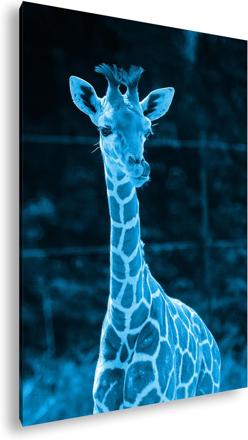 deyoli süsse junge Giraffe Format 100x70 Effekt: Monocrome Blau als Leinwandbild, Motiv fertig gerah