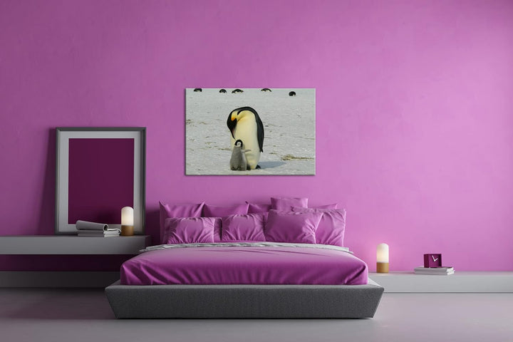 deyoli süsse Kaiserpinguine in der Antarktis im Format: 80x60 als Leinwandbild, Motiv fertig gerahmt
