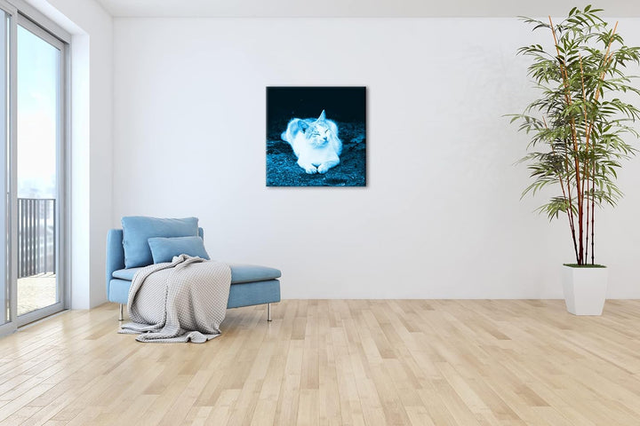 deyoli schläfrige Katze Format: 60x60 Effekt: Monocrome Blau als Leinwandbild, Motiv fertig gerahmt