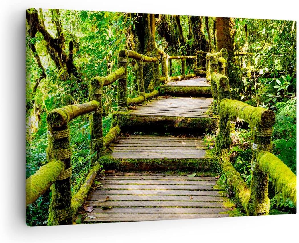 ARTTOR Bilder auf Leinwand Asien natur park brücke Leinwandbild 70x50cm Wandbilder Dekoration Wohnzi