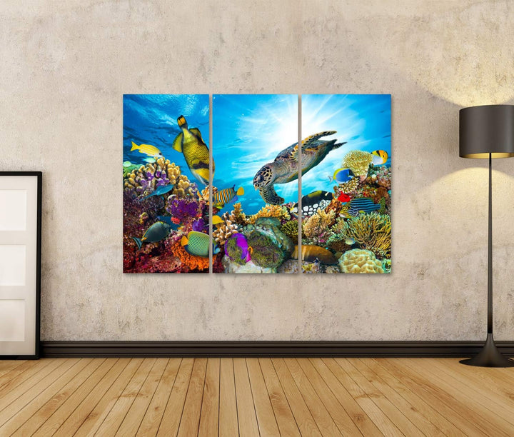 islandburner Bild auf Leinwand Buntes Korallenriff Viele Fische Meeresschildkröte Bilder Wandbilder