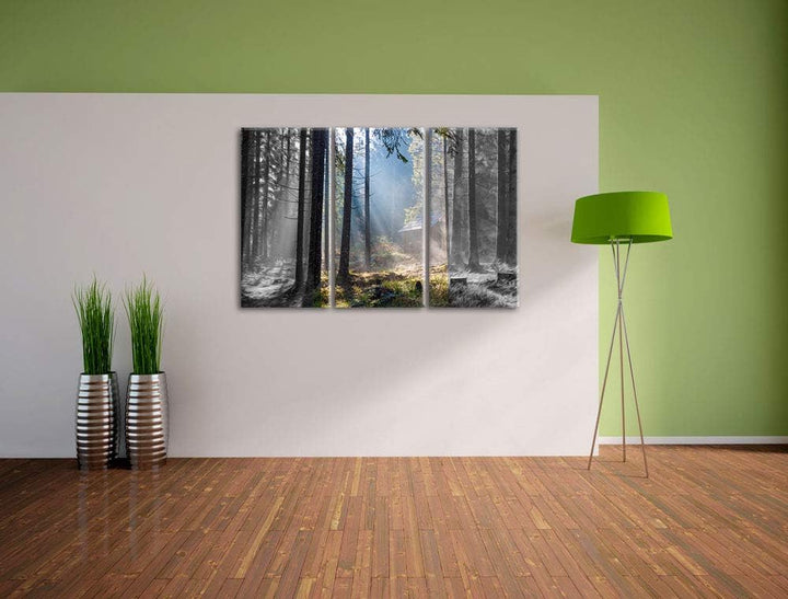 Häuschen im Wald mit Sonnenstrahlen schwarz/weiss 3-Teiler Leinwandbild 120x80 Bild auf Leinwand, XX