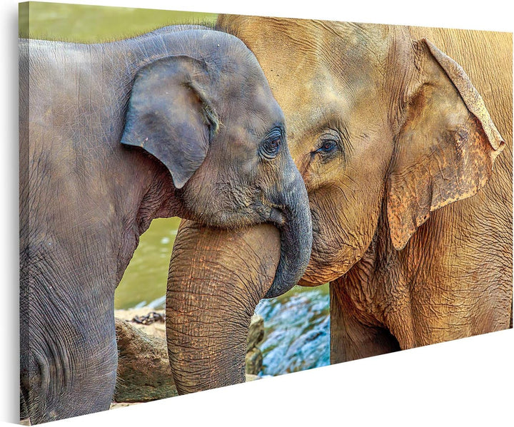 islandburner Bild auf Leinwand Elefantenbaby Elefant Kuschelnd Bilder Wandbilder Poster, Leinwand 80