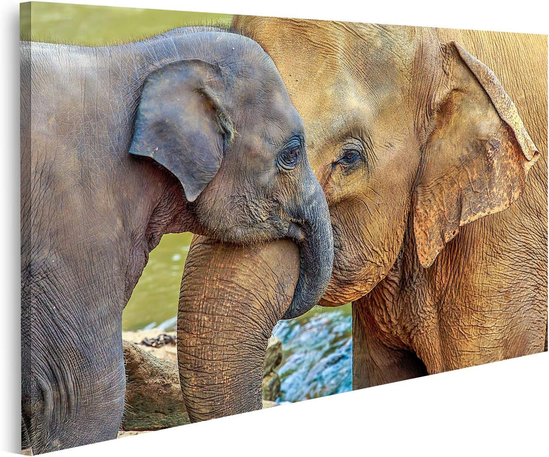 islandburner Bild auf Leinwand Elefantenbaby Elefant Kuschelnd Bilder Wandbilder Poster Leinwand 100
