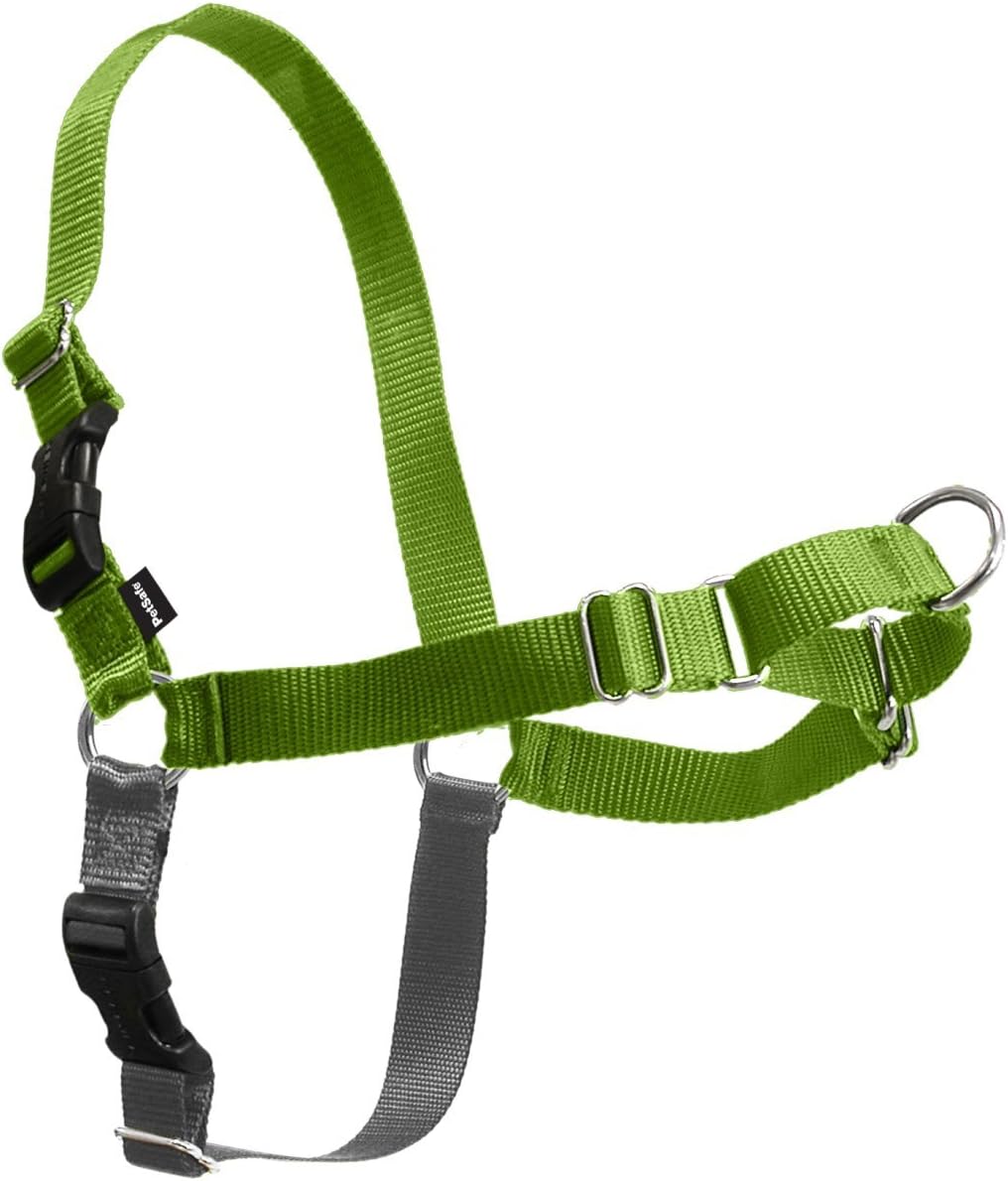 PetSafe Easy Walk Hundegeschirr. Apfelgrün/Grau Medium, Apfelgrün/Grau Medium