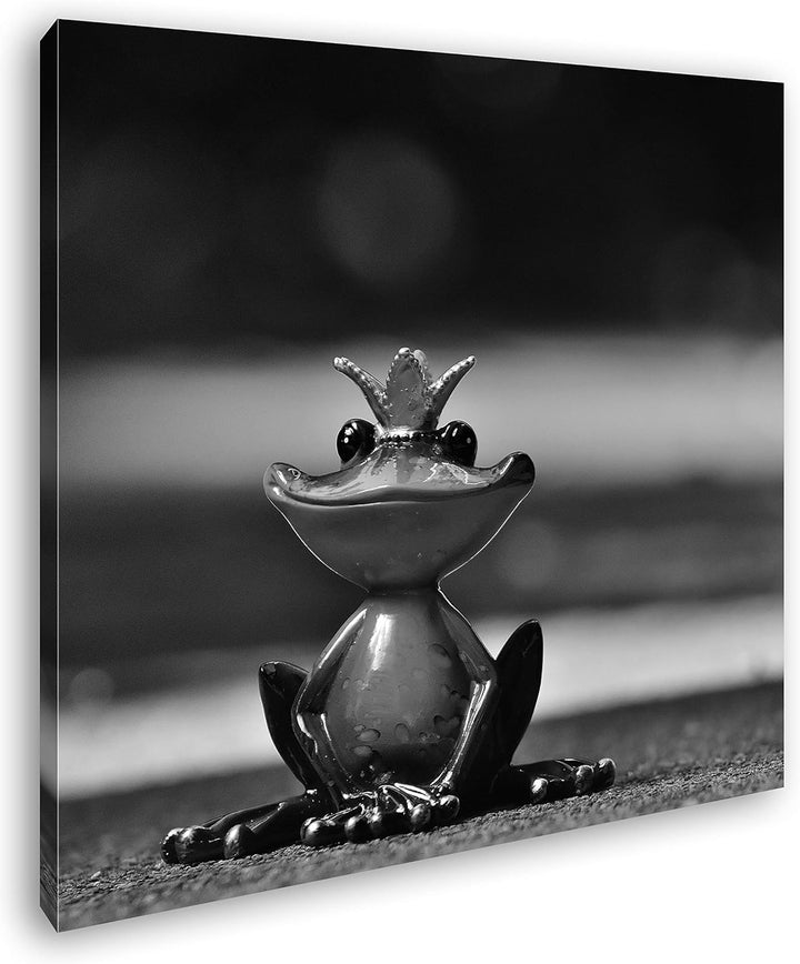 deyoli Kleiner süsser Froschkönig Format: 60x60 Effekt: Schwarz&Weiss als Leinwandbild, Motiv fertig