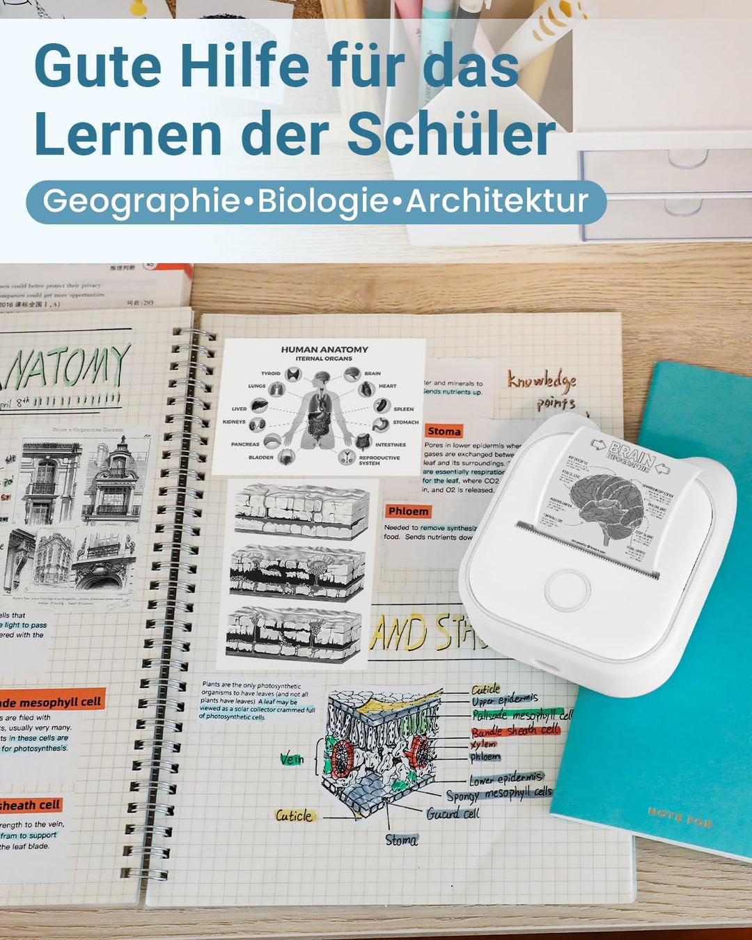 Phomemo T02 Mini Drucker, Fotodrucker für Smartphone, mit 1 Rollen Druckerpapier, 203dpi Handy Stick