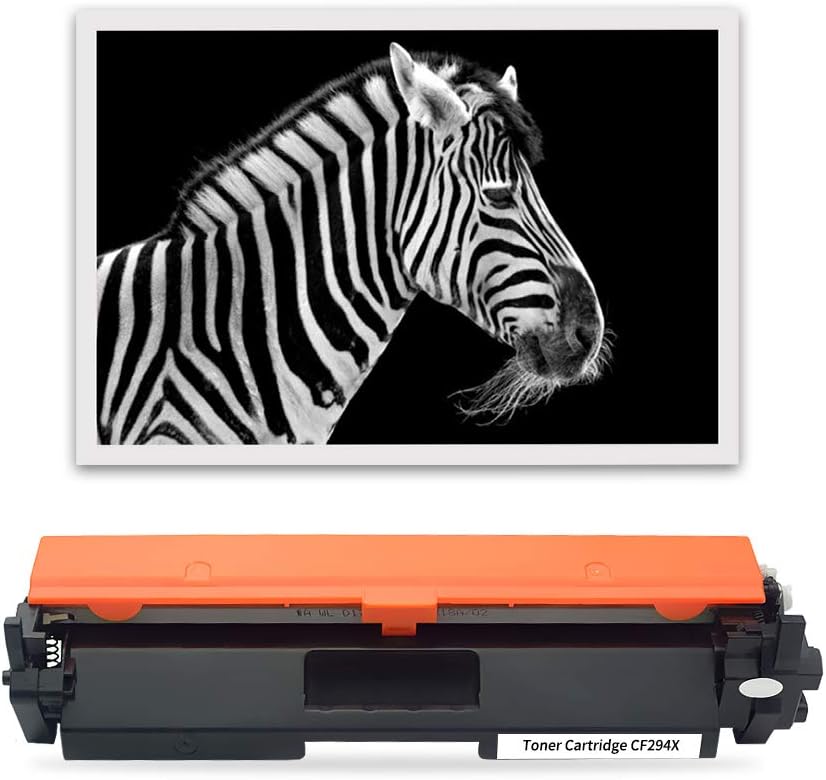 ZOOMTEC CF294X 94X Tonerkartusche für HP Laserjet Pro M118dw MFP M148dw M148fdw M149fdw (1 Schwarz,