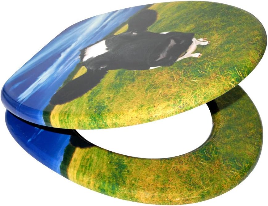 Sanilo WC Sitz, viele schöne Toilettendeckel zur Auswahl, hochwertige und stabile Qualität aus Holz