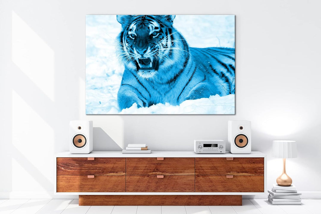 deyoli knurrender Tiger im Schnee Format 80x60 Effekt: Monocrome Blau als Leinwandbild, Motiv fertig