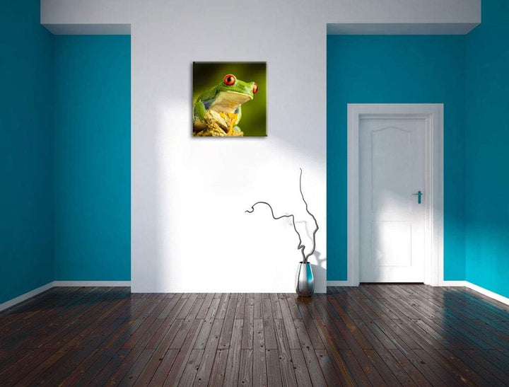 Grüner Rotaugen Frosch, Format: 70x70 auf Leinwand, XXL riesige Bilder fertig gerahmt mit Keilrahmen
