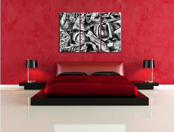 Pixxprint Zwei offene Kastanien als Leinwandbild/Grösse: 3 Teilig (120x80) cm/Wandbild/Kunstdruck/fe
