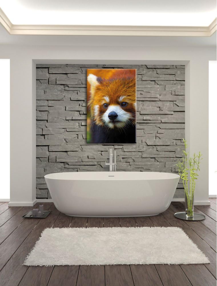 Roter Pandabär auf Ast, Format: 100x70 auf Leinwand, XXL riesige Bilder fertig gerahmt mit Keilrahme