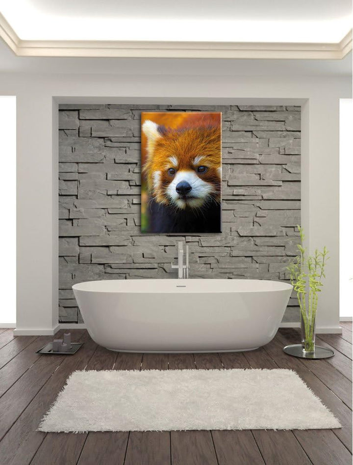 Roter Pandabär auf Ast, Format: 100x70 auf Leinwand, XXL riesige Bilder fertig gerahmt mit Keilrahme