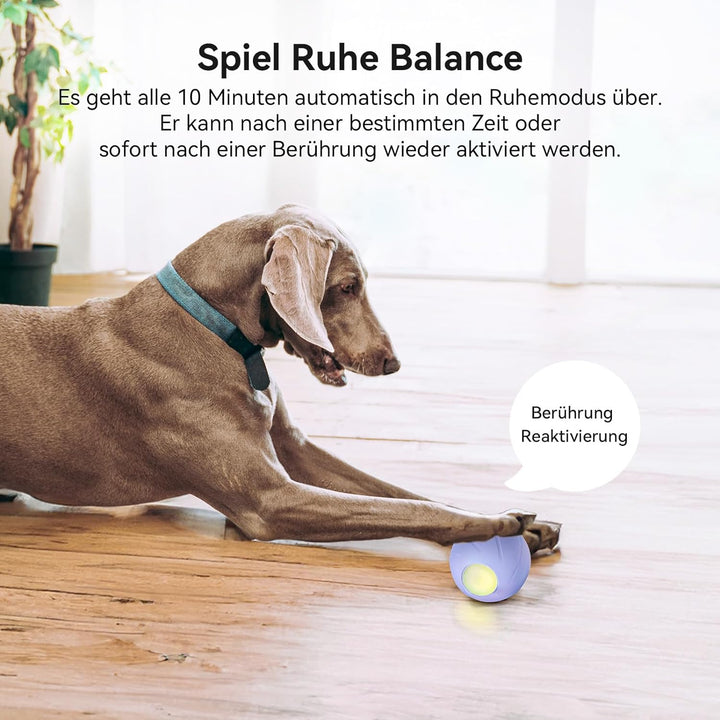 Cheerble Wicked Ball PE, 3 Interaktionsmodi Interaktives Hundespielzeug Ball, Selbstrollender Ball H